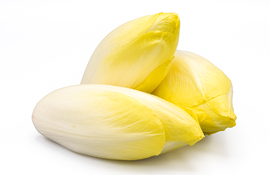 Endive bio Landes