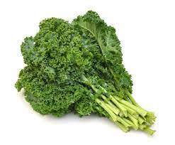 Kale chou bio LAMINAK