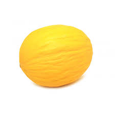 melon canari jaune bio Espagne
