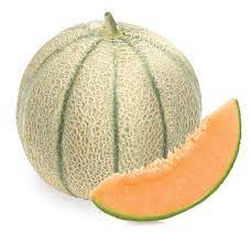 Melon charentais bio Occitanie