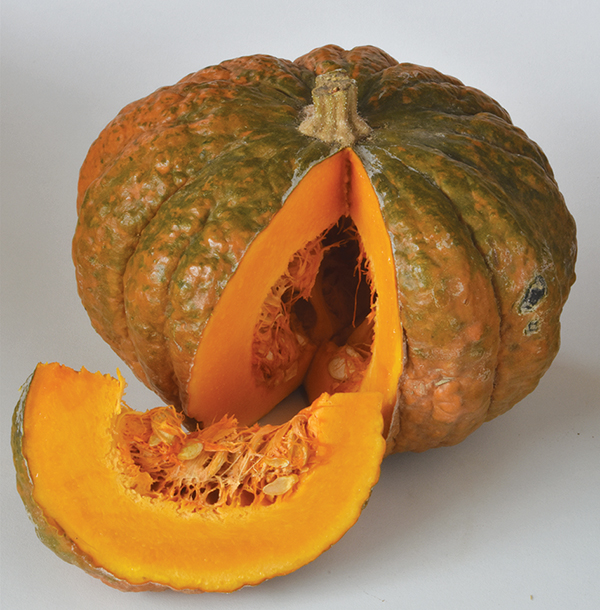 Courge Potimarron bio Laminak vert/orange