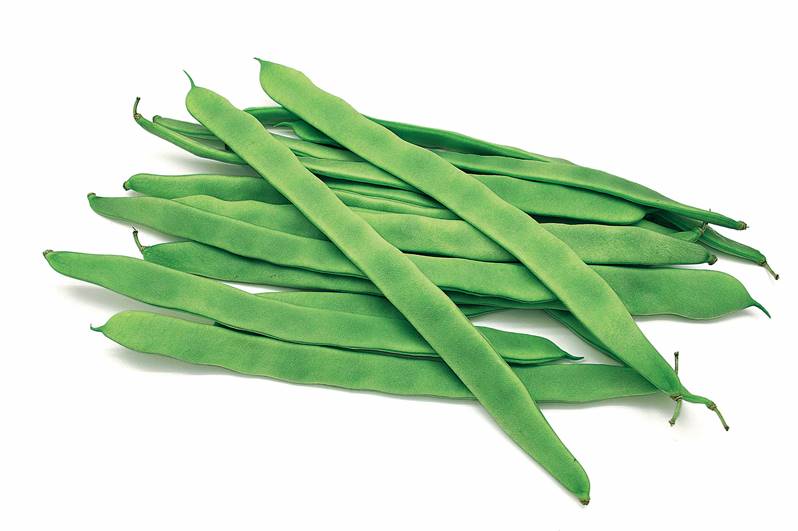 Haricot plat bio France