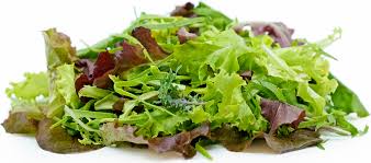 Moutarde (salade) bio Laminak