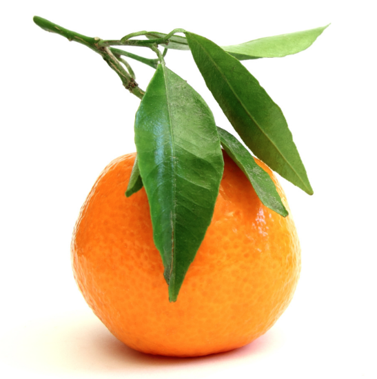 Clementine bio Corse