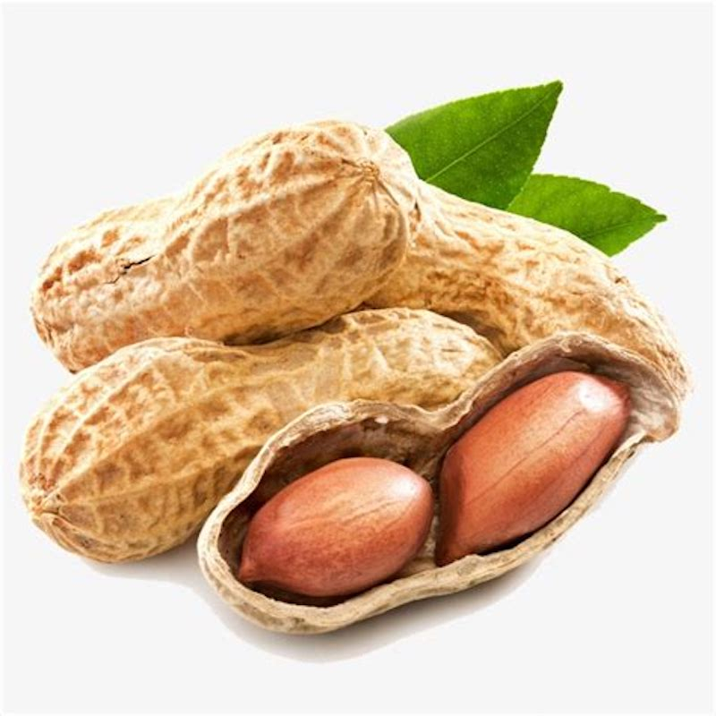 Arachide fraiche Landes
