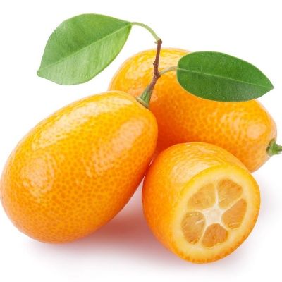 Kumquat bio Espagne