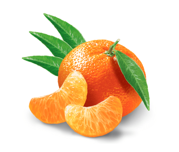 Mandarine bio Espagne