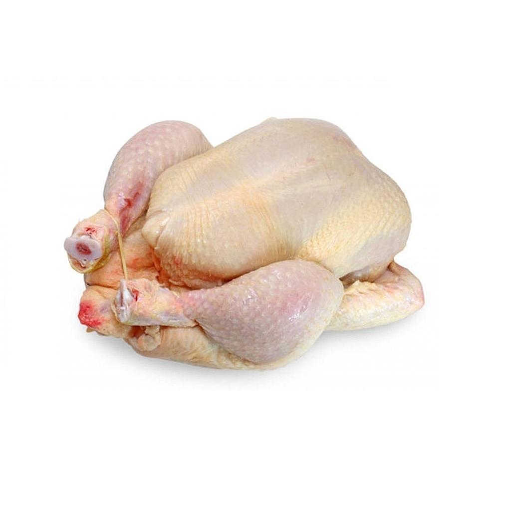 Poule - GARAT