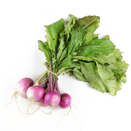 Navet bio Bretagne