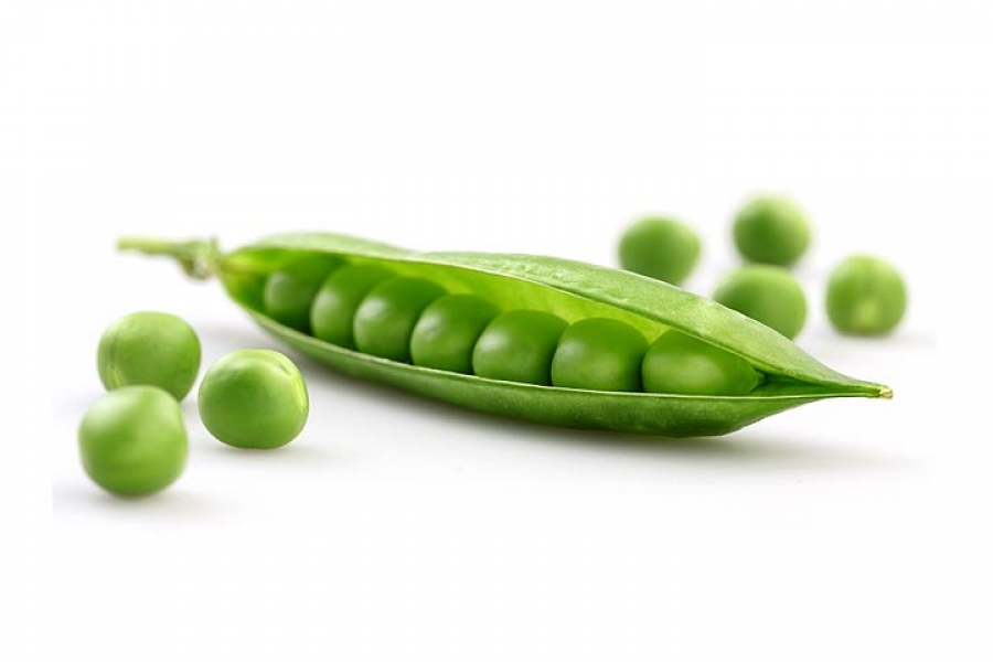 Petit pois bio Bretagne
