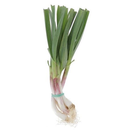 oignons botte bio Laminak