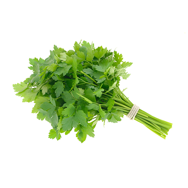 Melisse officinale citronnee Bio