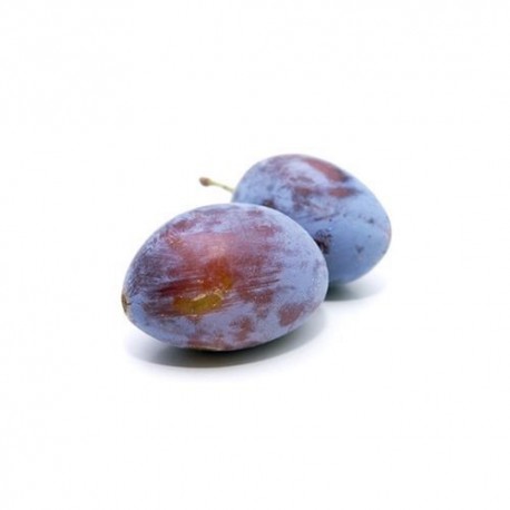 Prune bio Lot-et-Garonne