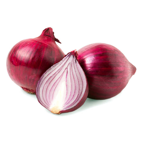 Oignon rouge bio Gers (BOTTE)