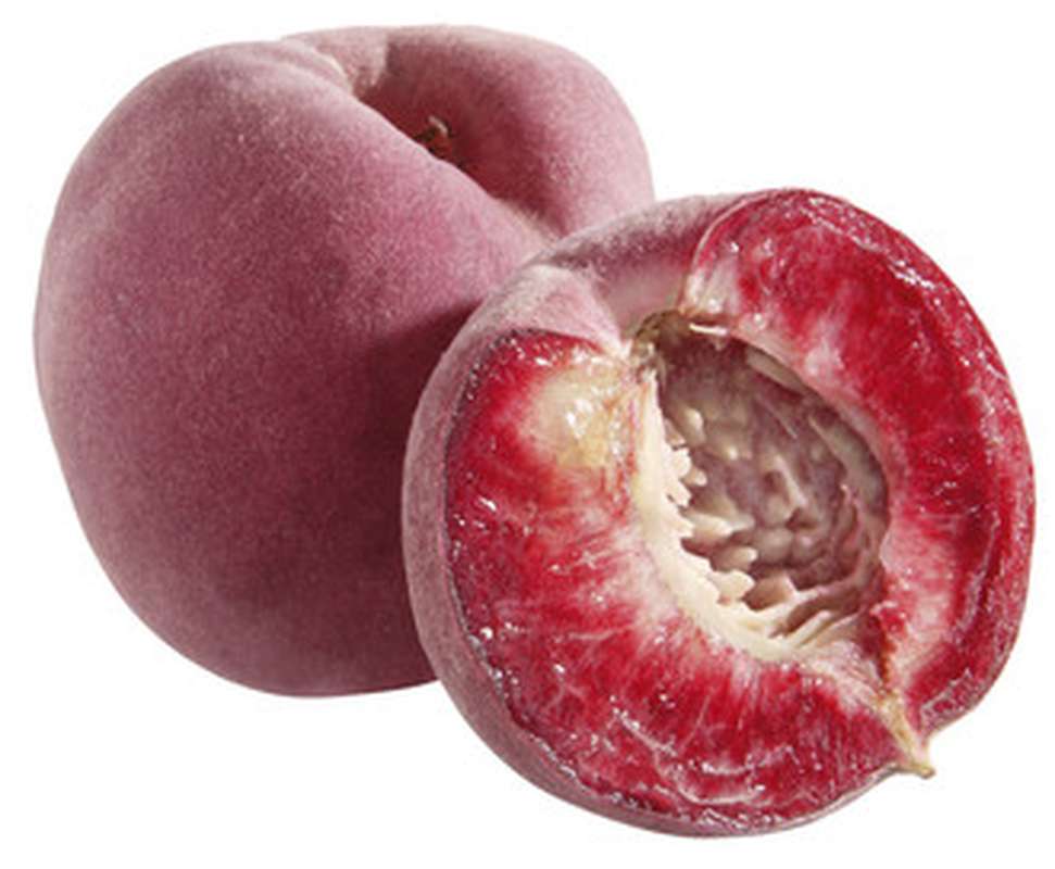 Peche sanguine bio Ahetze