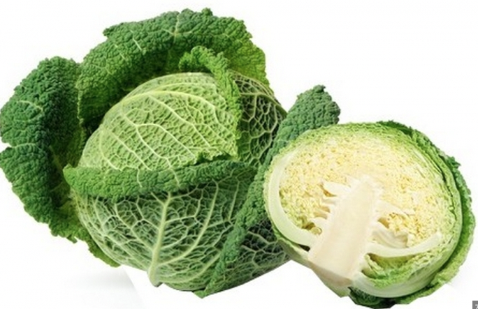 Chou blanc bio Bretagne