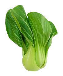Bok Choy (pak choi) chou bio Landes Laminak