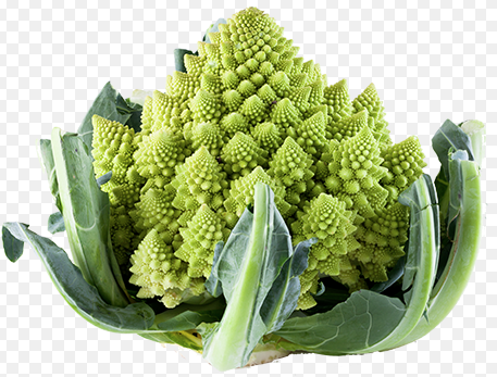 Chou Romanesco bio Bretagne (piece)
