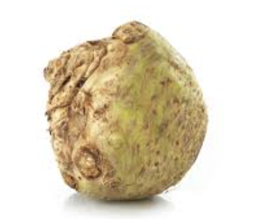 Celeri rave bio Bretagne