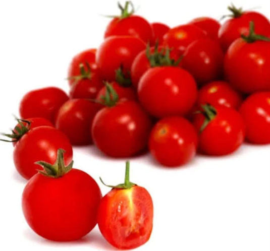Tomates cerises bio Lot-et-Garonne