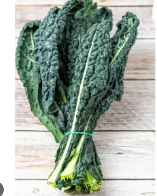 Kale chou noir bio Landes