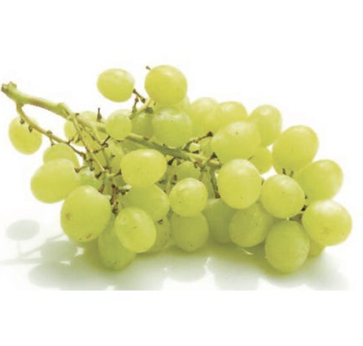 Raisin bio Lot-et-Garonne