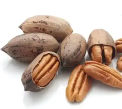 Noix de pecan en coque bio Espagne