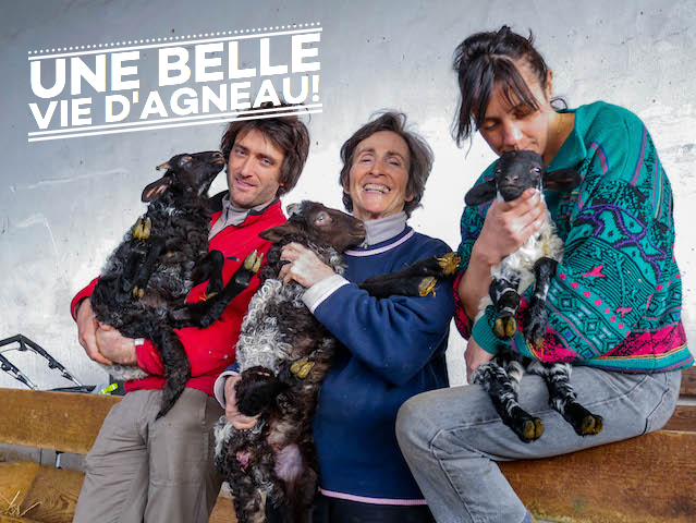 Colis agneau 1/2 carcasse (à peser) - KITTERIA