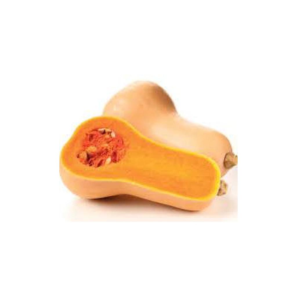 Courge butternut bio Laminak