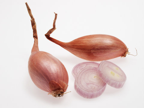 Echalottes Bretagne bio