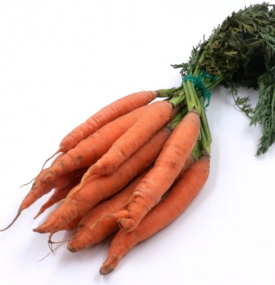 Carottes botte bio Lot-et-Garonne