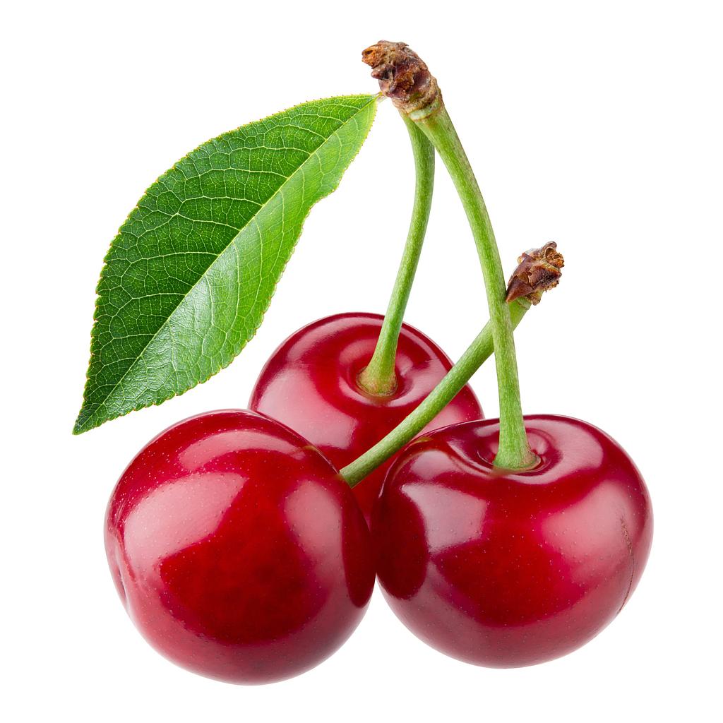 Cerise bio Roussillon